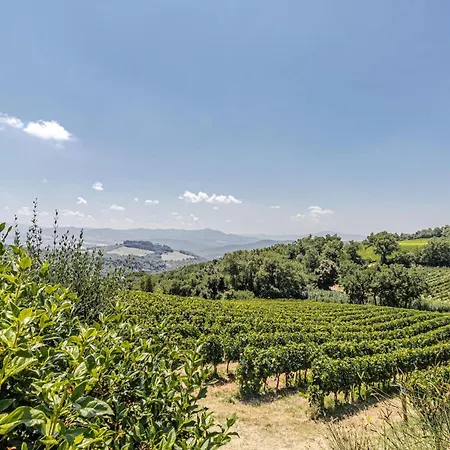 La Siroque Montecatini Val di Cecina